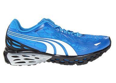 Puma Men's Bioweb Elite NM Running Shoe Brilliant Blue/White/Black 186903 07 : Athletics